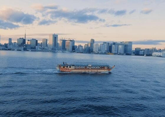 A picture of houseboat taken from the sky by a drone